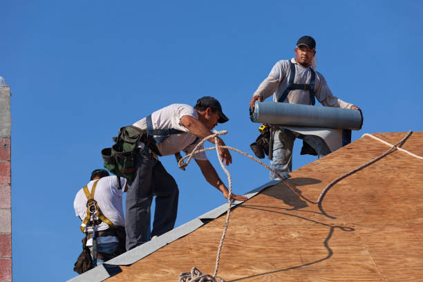 Best Gutter Installation and Roofing  in Blue Ridge, GA
