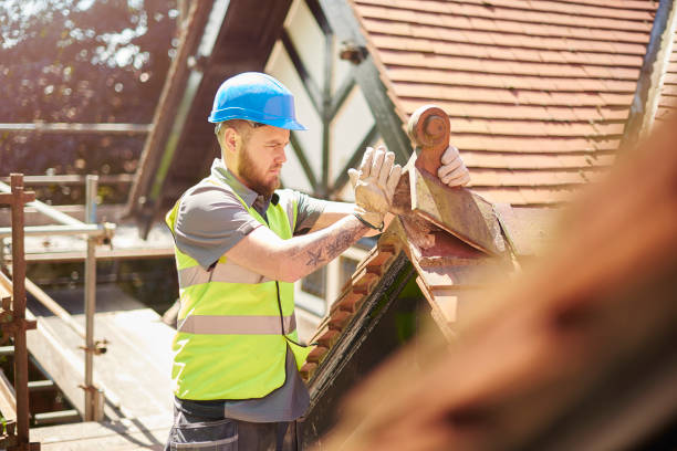 Best Storm Damage Roof Repair  in Blue Ridge, GA