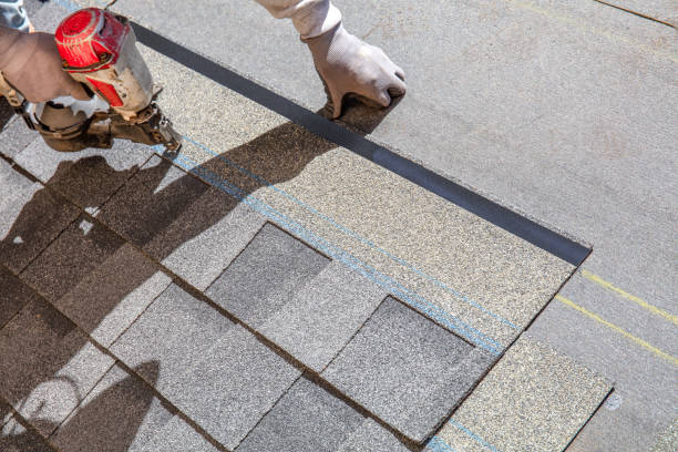 Best Roof Repair Specialists  in Blue Ridge, GA